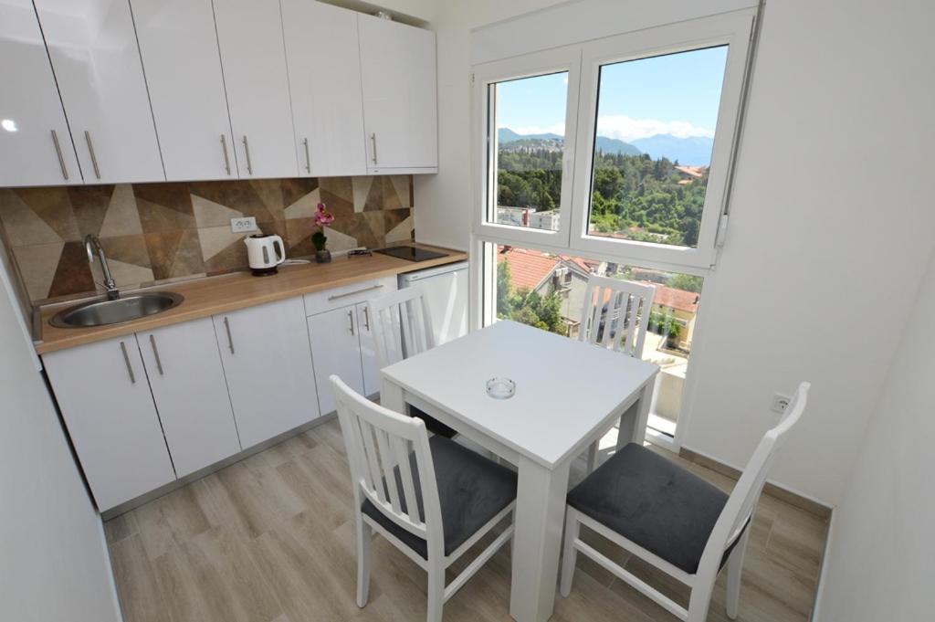Tomic Apartment Igalo